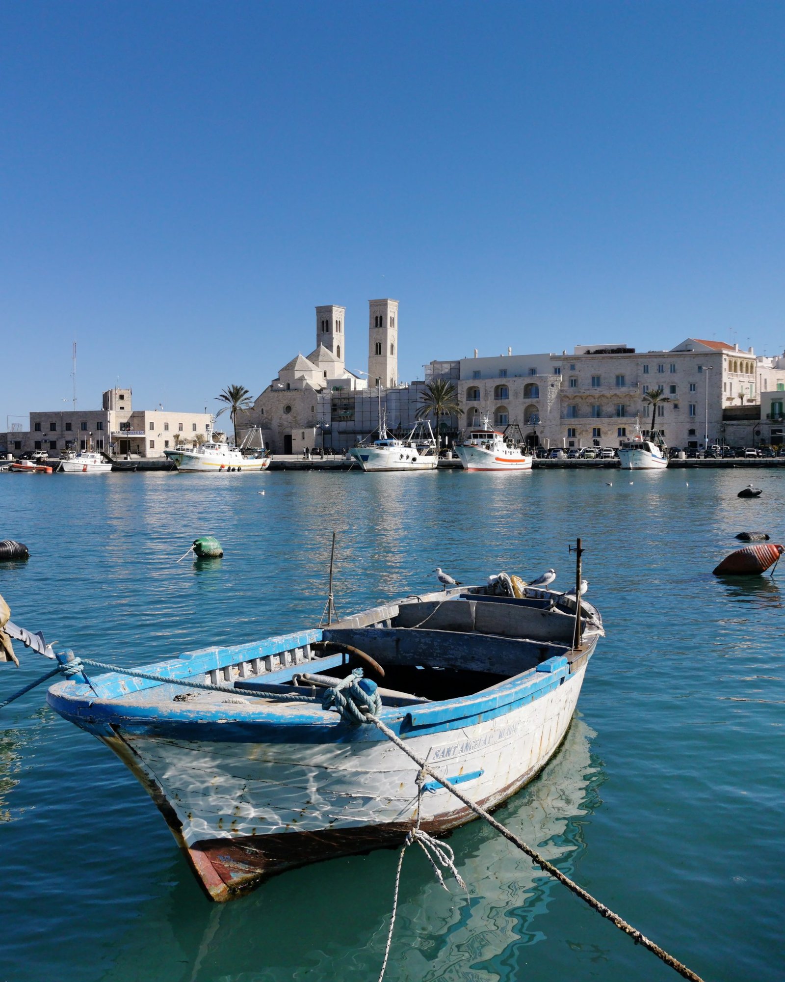 mare-azurro-porto-molfetta-en-ingles